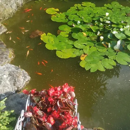 Casa Rustica O Noso Val Hébergement de vacances *