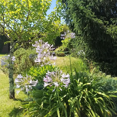 Casa Rustica O Noso Val *