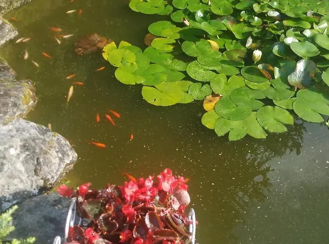 Casa Rustica O Noso Val Tatil Evi *